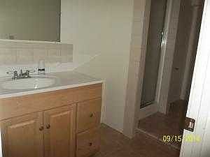 Lower Level bathroom