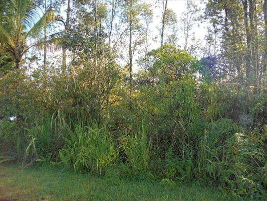 2nd image of Ohia Dr Lot 69