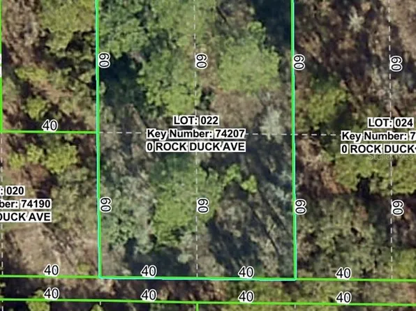 Rock Duck Ave Lot 22, Brooksville, FL 34614