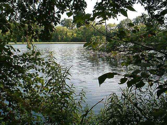 lake view