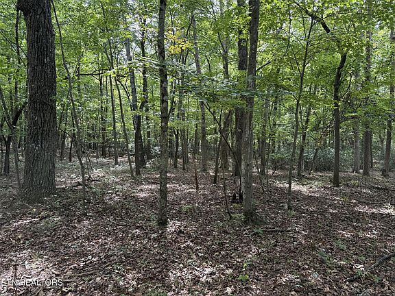 3rd image of 6 Tanner Dr #6