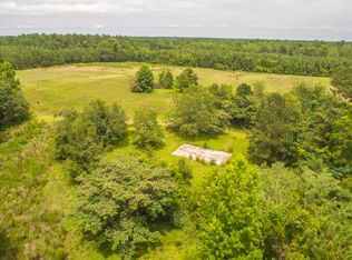 1310 E Lawrimore Rd, Hemingway, SC 29554