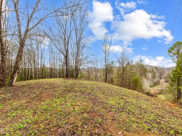 TRACT 2 Dripping Springs Rd, Seymour, TN 37865