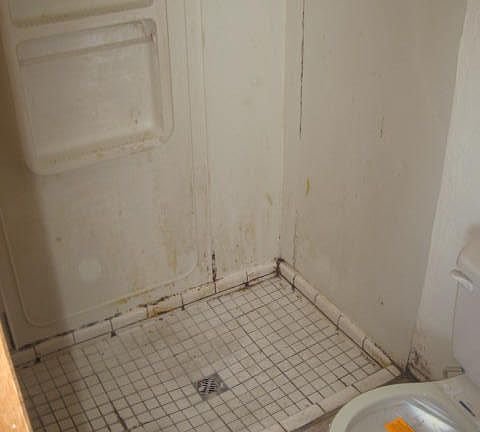 5th image of 7542 N Placita De Teresa