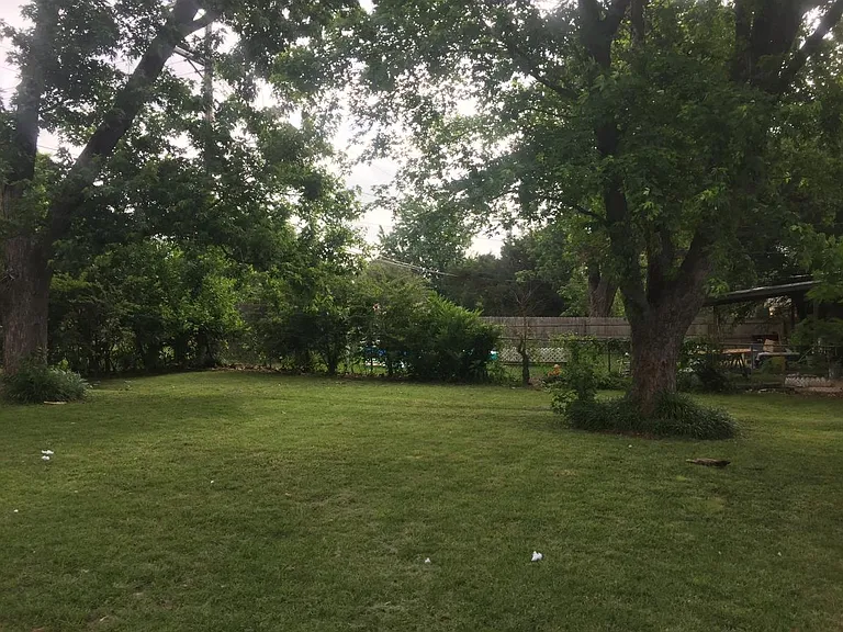 backyard
