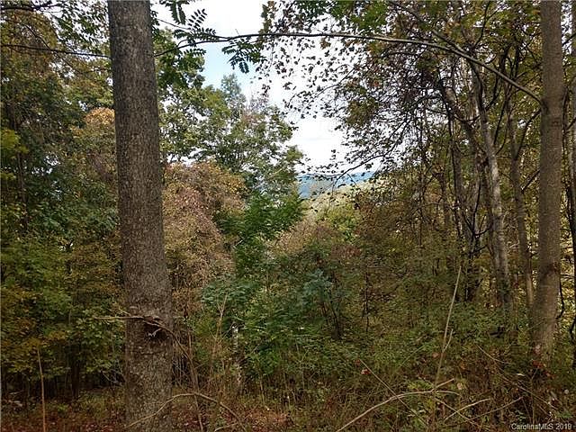 1st image of Eliotts Loop
