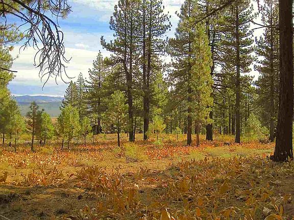 4th image of 7500 Lahontan Dr