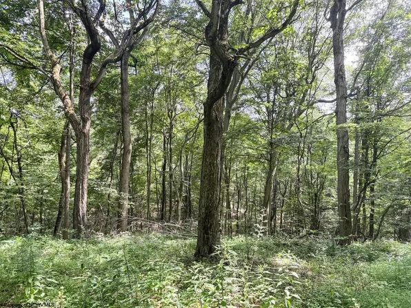 Scenery Hill Rd, Wellsburg, WV 26070