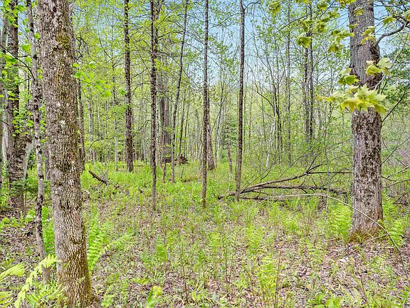 3rd image of 753 Scrabble Hill Road #2