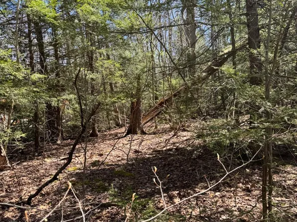 Arthur Cir #1411, Tobyhanna, PA 18466