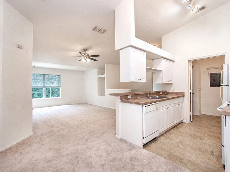 36138 Lake Chase Blvd #294 — Photo 8