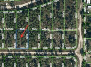 466 Hummingbird Ave, Sebring, FL 33872