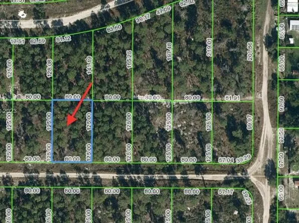 466 Hummingbird Ave, Sebring, FL 33872