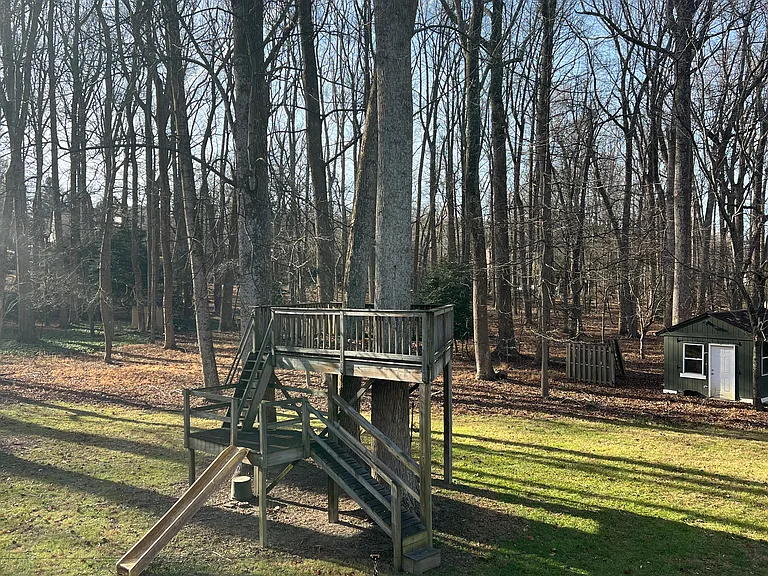 Back yard