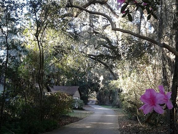 Wooded setting