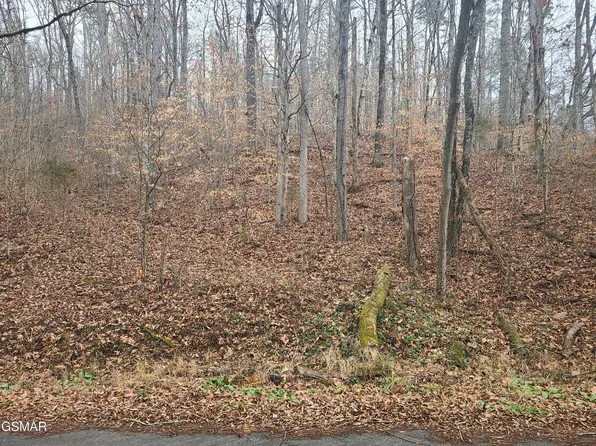 0 Keystown Rd #Na, Luttrell, TN 37779
