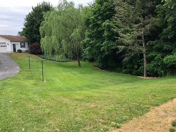 Side yard willow tree and stream street view