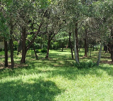 5th image of 8325 Oak Thicket Ln
