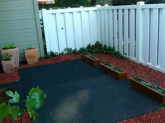 Back Yard Left