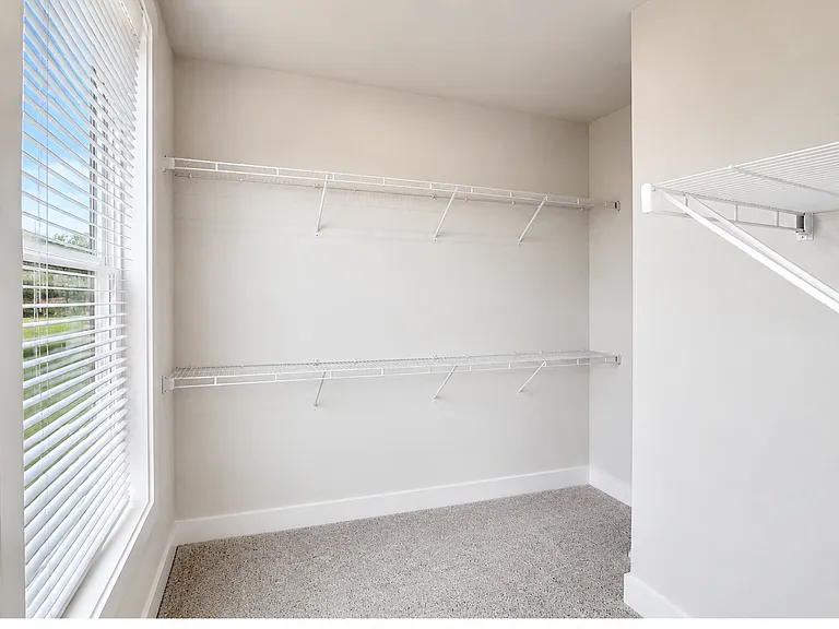 113 Pinecone Pl — Photo 11