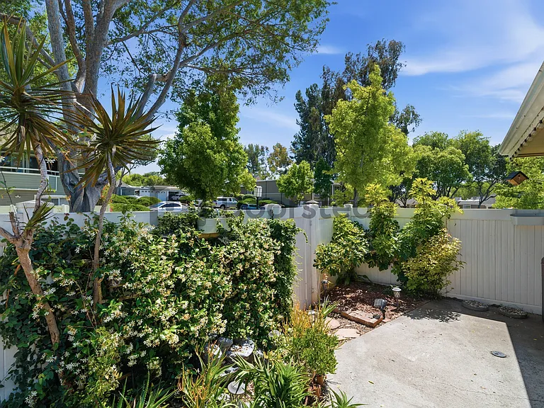 22172 Caminito Laureles — Photo 44