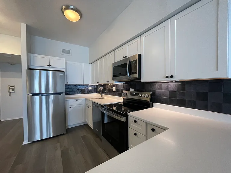 175 E Delaware Pl #5004 — Photo 5