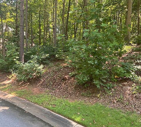 3rd image of 402 Woodridge Dr
