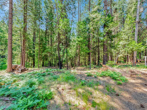 6134 Kokanee Ln, Pollock Pines, CA 95726