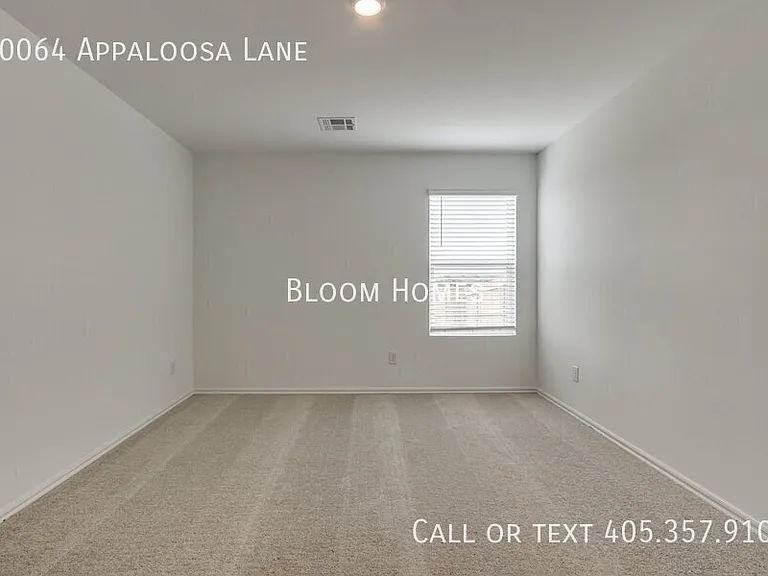 10064 Appaloosa Ln — Photo 11