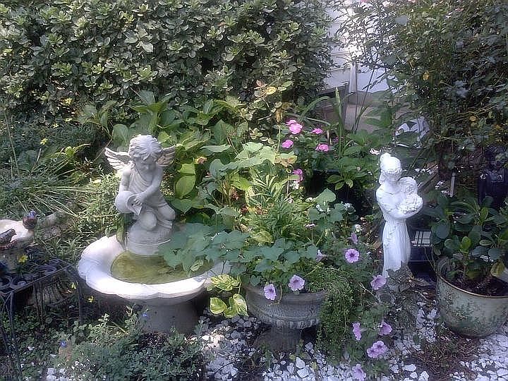 GARDEN