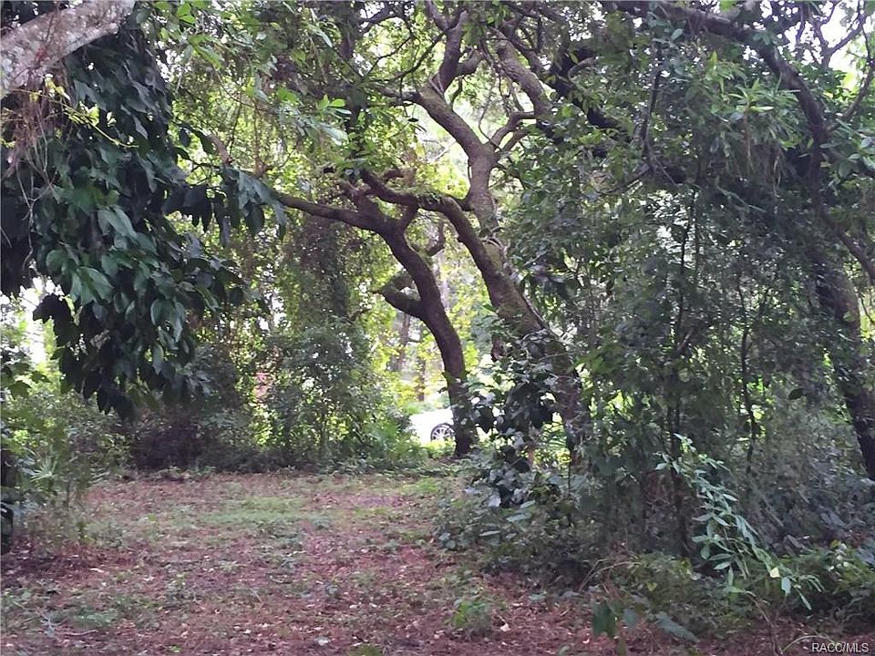 2nd image of 4580 E Treeline Dr