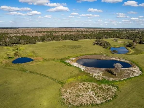 Cypress Mill Rd, Sorrento, FL 32776