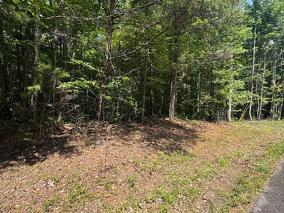 5th image of Township Road 3 Lakeland Dr #4