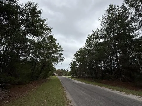 Malauka Trak Lot 31, Ocklawaha, FL 32179