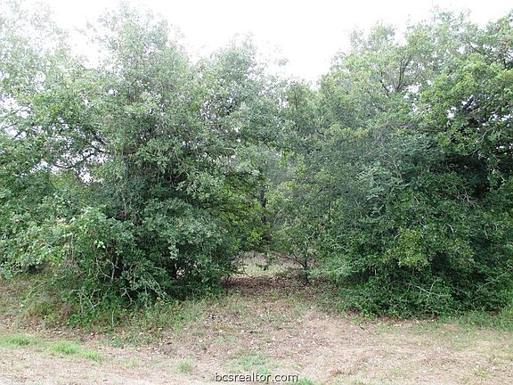 5th image of Teal Lake Dr