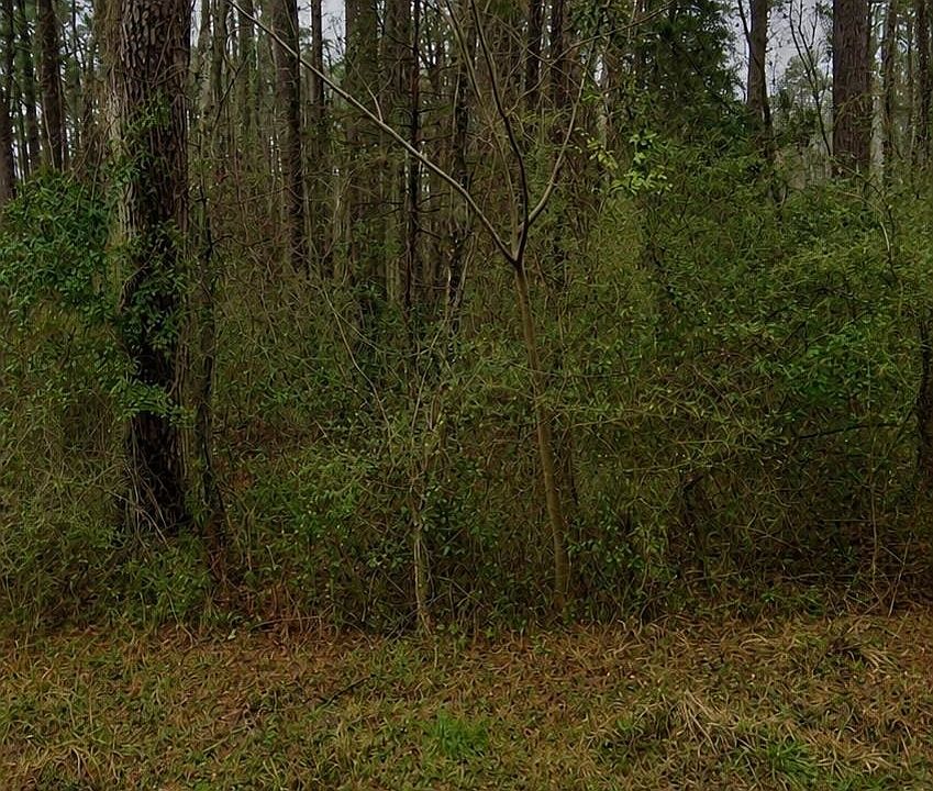 2nd image of TBD Sing Ave.