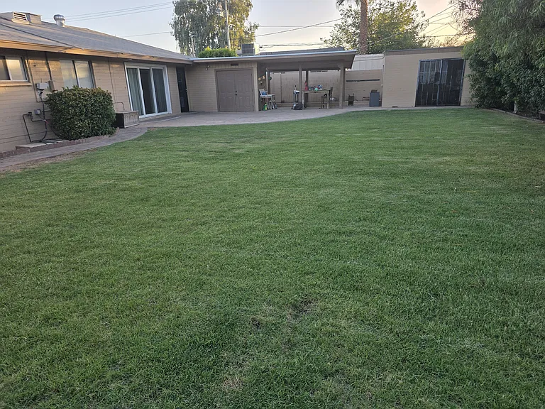 Backyard - West side
