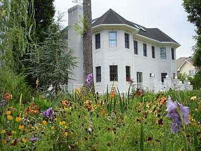 From the back