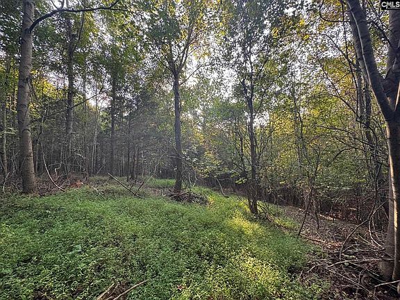 2nd image of Shaw Rd