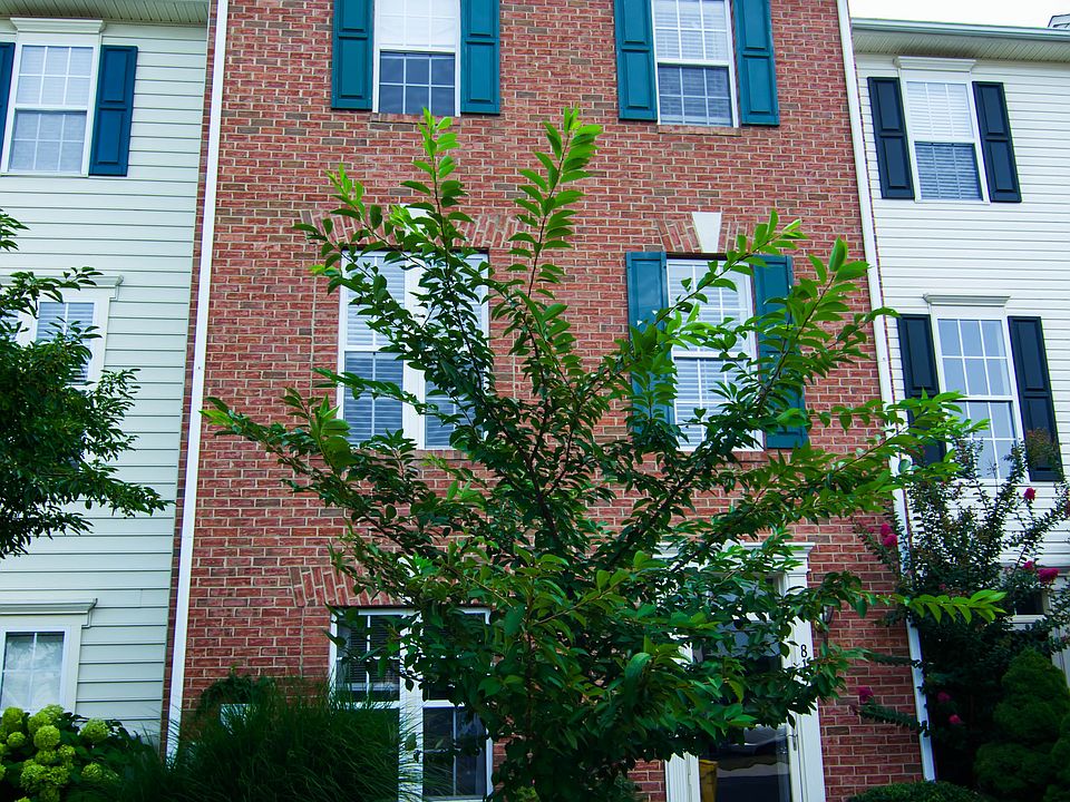 1st image of 8153 Poinsett Ter