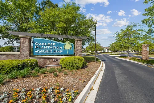 Oakleaf Plantation Apartments Photo 1