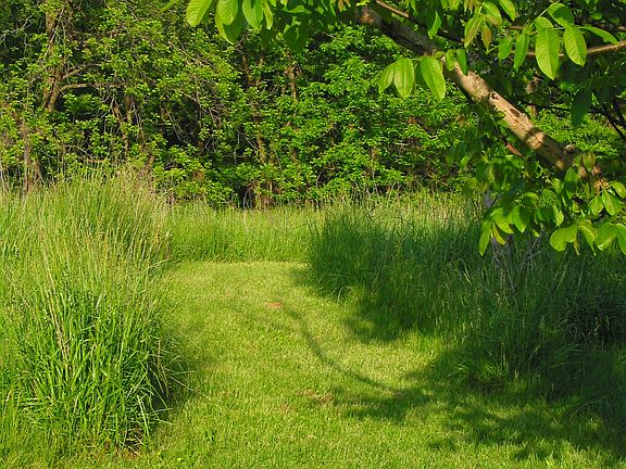 Path from front to lean-to