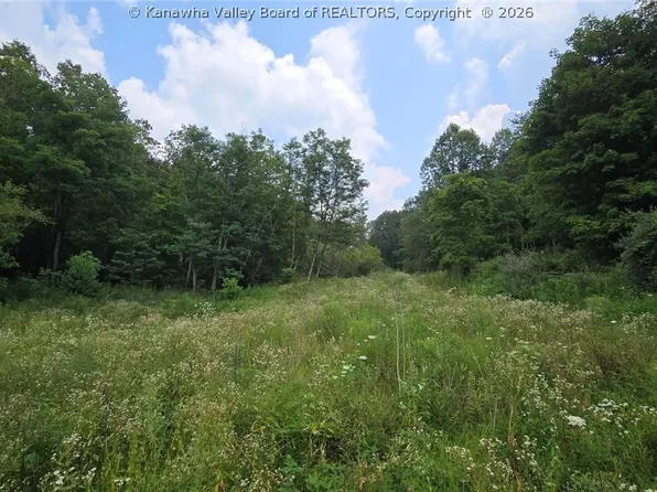679 Burnems Run Rd, Sandyville, WV 25275