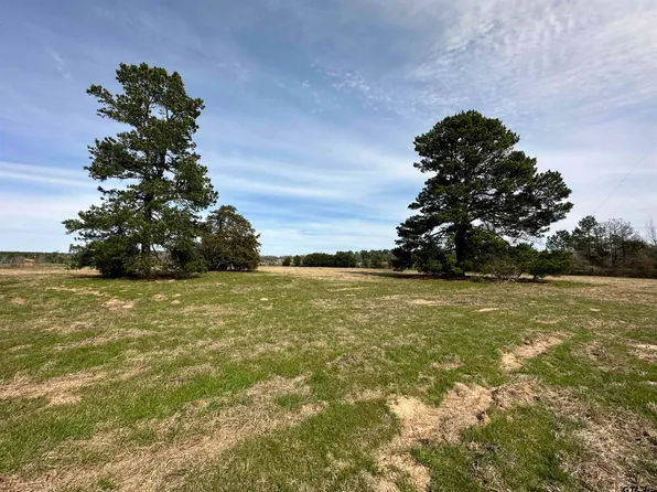 427 Guinn Pl, Rusk, TX 75785