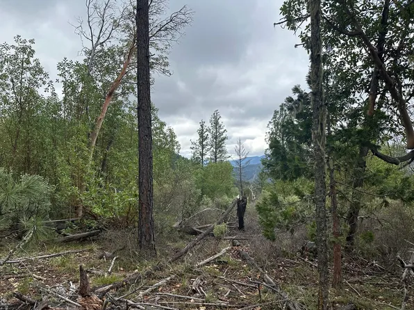 0 Forest Creek Rd #R, Jacksonville, OR 97530