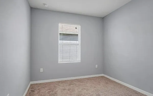 345 Corso Loop — Photo 21