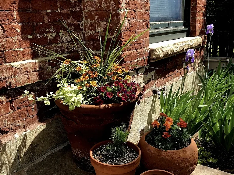 Maintained gardens and planters turn the yard into a peaceful, picture-perfect retreat.