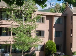 115 Vine St #115, Aspen, CO 81611
