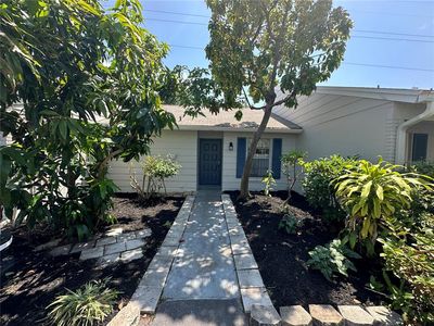 368 Gloucester St, Safety Harbor, FL, 34695