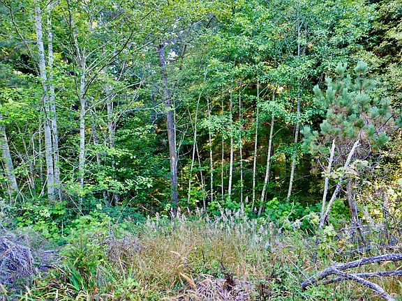 5th image of 19130 Dorffi Road